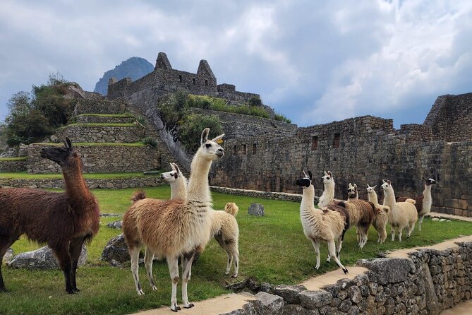 2-Day Inca Trail To Machu Picchu - Day 2: sunrise at Machu Picchu