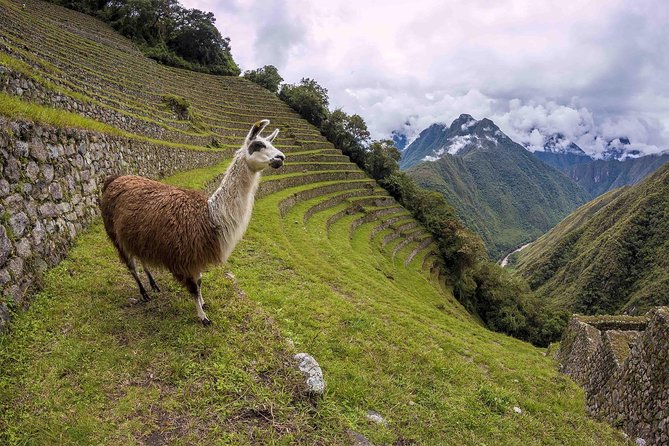 2-Day Short Inca Trail to Machu Picchu - Walking through the Sun Gate to Machu Picchu