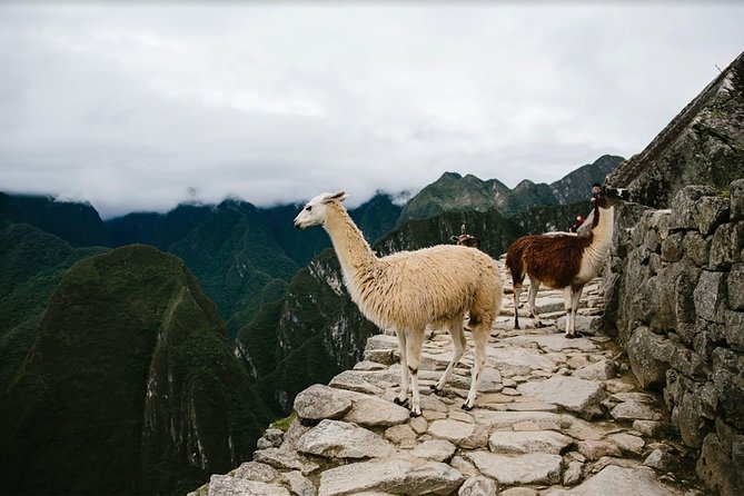 2-Day Short Inca Trail to Machu Picchu - Aguas Calientes to the main Machu Picchu visit