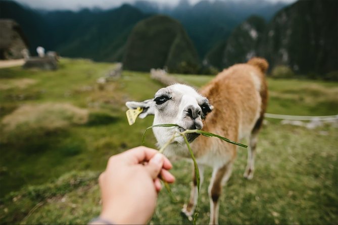 2-Day Short Inca Trail to Machu Picchu - Returning to Cusco by train and bus