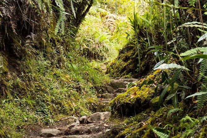 2 Day - Short Inca Trail to Machu Picchu - Group Service - What $550 gets you