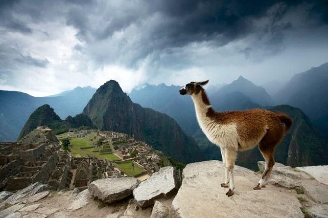 2-Day Short Inca Trail to Machu Picchu - Wiñay Wayna is the first major reward