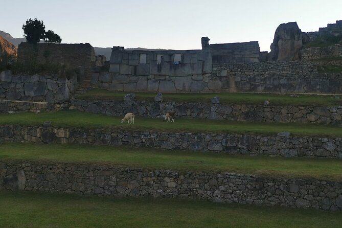 2-Day Tour in Sacred Valley and Machu Picchu from Cusco - Day 2: a full day inside Machu Picchu