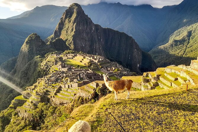 2 Day Tour Throughout the Short Inca Trail to Machu Picchu - Km 104 and the Walk to Wiñay Wayna