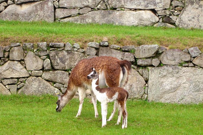 2 Day - Tour to Machu Picchu from Cusco - Group Service - Returning to Cusco the same day