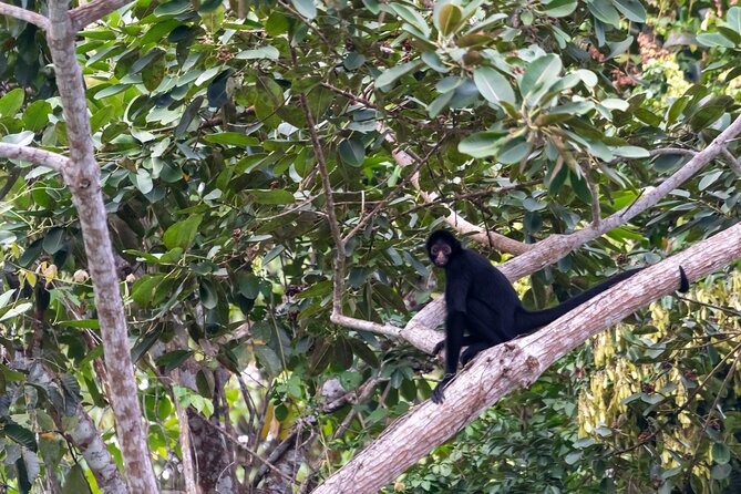 3-Day Eco-Sustainable Private Tour Manu National Park - Food and lodging are practical rather than luxurious