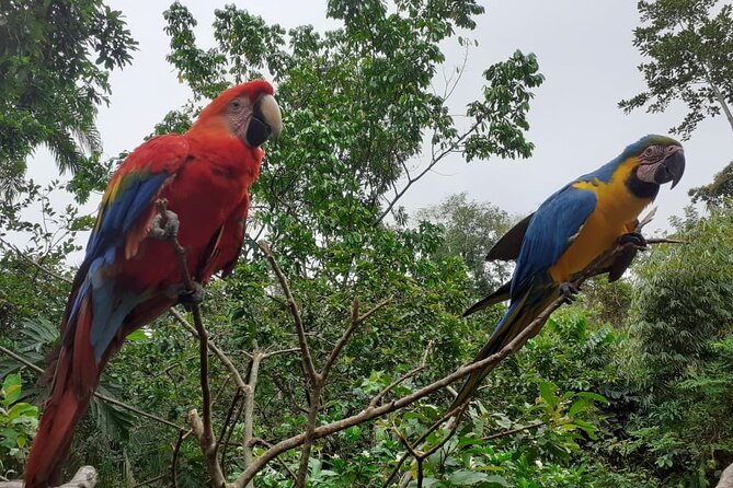 3-Day Eco-Sustainable Private Tour Manu National Park - Who will enjoy this Manu trip most