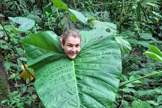 3-Day Eco-Sustainable Private Tour Manu National Park - Practical preparation for the road and forest
