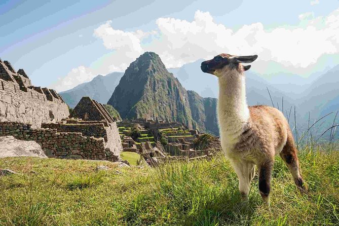 4-Day Excursion to MachuPicchu & Rainbow Mountain & City tour || All Included || - Key points to know before booking