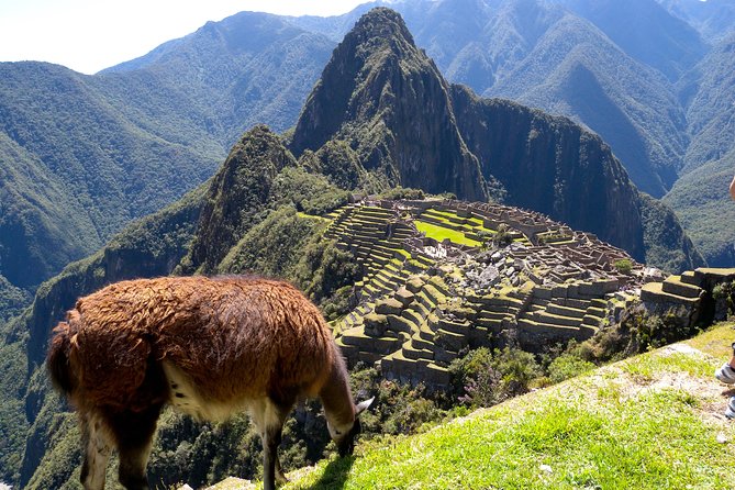4 Day - Machu Picchu Special - Group Service - Day one in Cusco: Koricancha, the Cathedral, and Sacsayhuaman