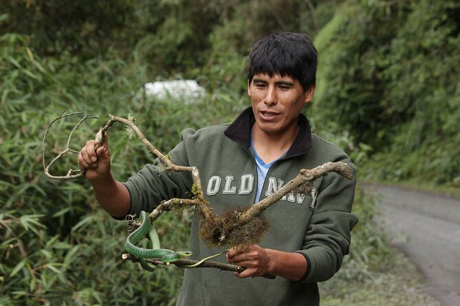 4 Day Tour to the Manu National Park - Day 2: Atalaya, the Alto Madre de Dios River, and Machuwasi Lake