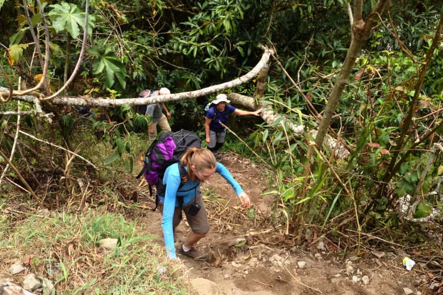 4 Days Inca Jungle Adventure to Machu Picchu - Day three: zip-line choice and the walk to Aguas Calientes
