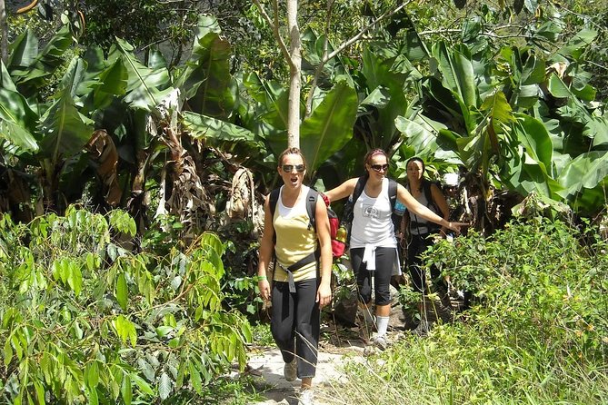 4 Days Inca Jungle to Machu Picchu Standard - Lodging, food, and the small practical details