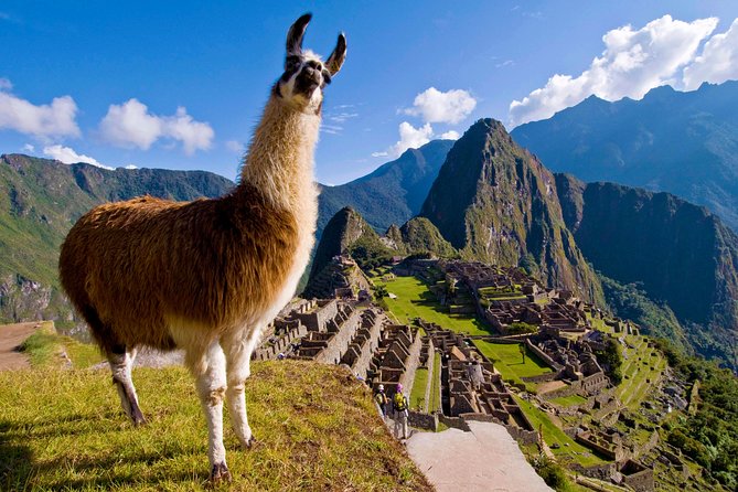 5 Day - Tour to Machu Picchu Traditional - Group service - Day 1: Cusco’s temples, fortifications, and high viewpoints