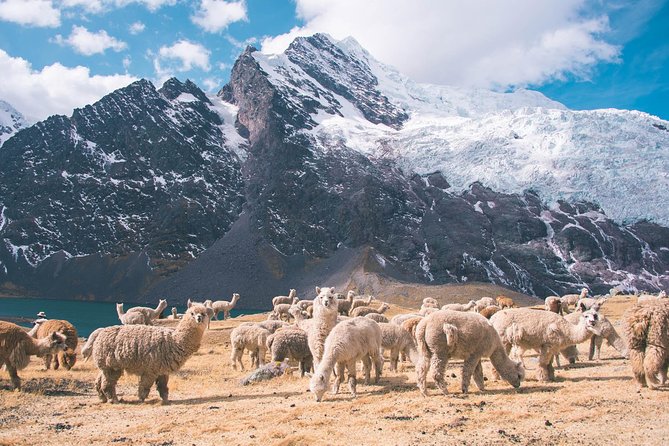 6 day Rainbow Mountain x Ausangate Trek - FlashpackerConnect - Camping, meals, horses, and what you carry