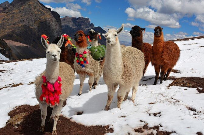6-Day Tour of Cusco Magico-Machu Picchu-Rainbow Mountain - Day 5: Rainbow Mountain at 16,666 feet
