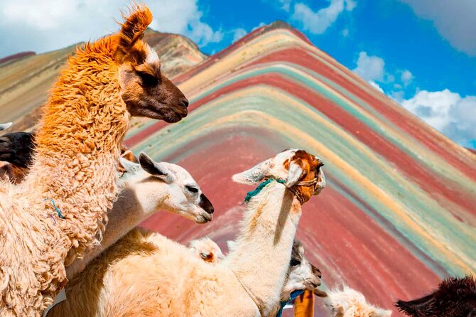 6-Day Tour of Cusco Magico-Machu Picchu-Rainbow Mountain - Is $539 a good value?