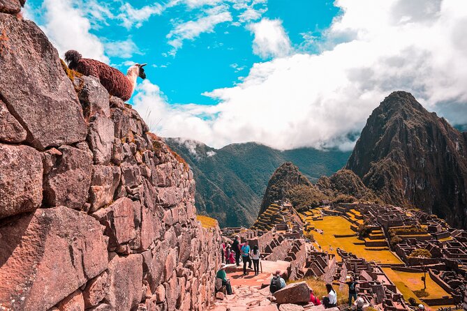 6-Day Tour of Cusco Magico-Machu Picchu-Rainbow Mountain - Day 2: Pisac, Ollantaytambo, and the train to Aguas Calientes