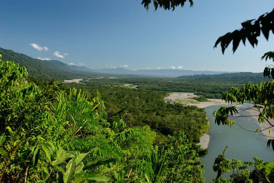 Amazonas Manu Cultural Zone 4 Days / 3 Nights - Night walks for insects, amphibians, and snakes