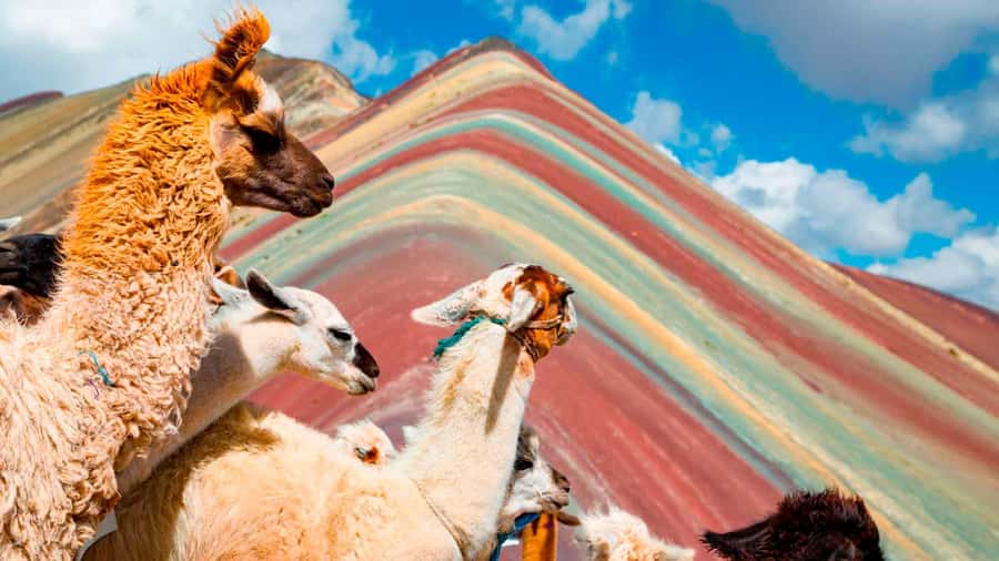 Arrive before the crowd to the Mountain in private service - A private ride from Cusco’s historic center