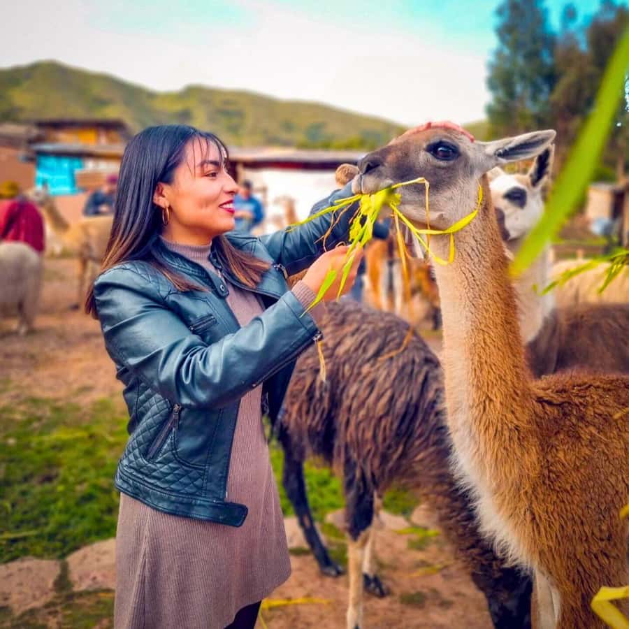 BUS 180 CUSCO - Booking details worth knowing before you go