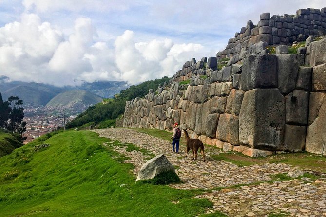 City Tour in Cusco & visit Museum South American Camelid Private. - Manos de la Comunidad: alpacas, llamas, and Andean textiles