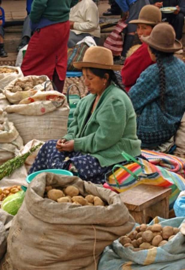 Cusco: 3-Hour Peruvian Cooking Class - Preparing ceviche from the start