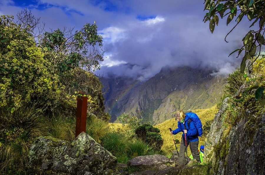 Cusco: 4-Day Inca Trail to Machu Picchu with Accommodation - Guides and group size