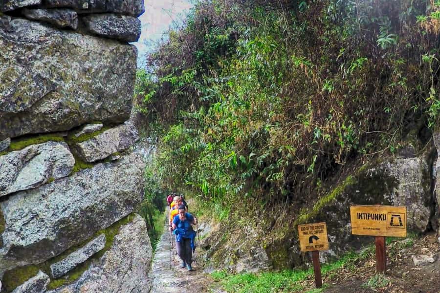 Cusco: 4-Day Inca Trail to Machu Picchu with Accommodation - Day one: Abra Málaga to the forest near Santa María