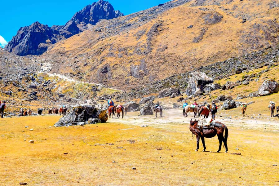 Cusco: 5-Day Salkantay Ultimate Trek to Machu Picchu - FAQ