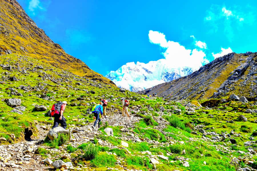 Cusco: 5-Day Salkantay Ultimate Trek to Machu Picchu - Cloud forest, waterfalls, and Lucmabamba coffee