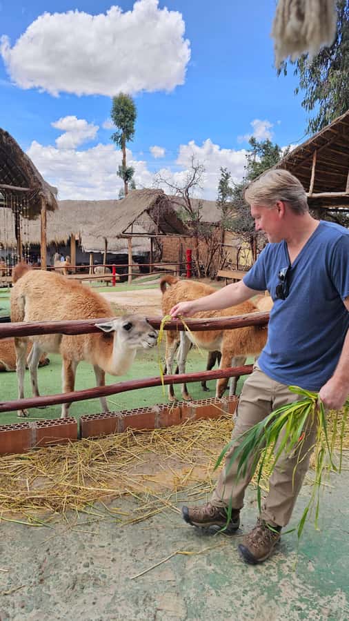 Cusco: Alpaca and Llama Farm Tour w/ Transfer & Weaving Demo - Why this short Cusco outing works so well