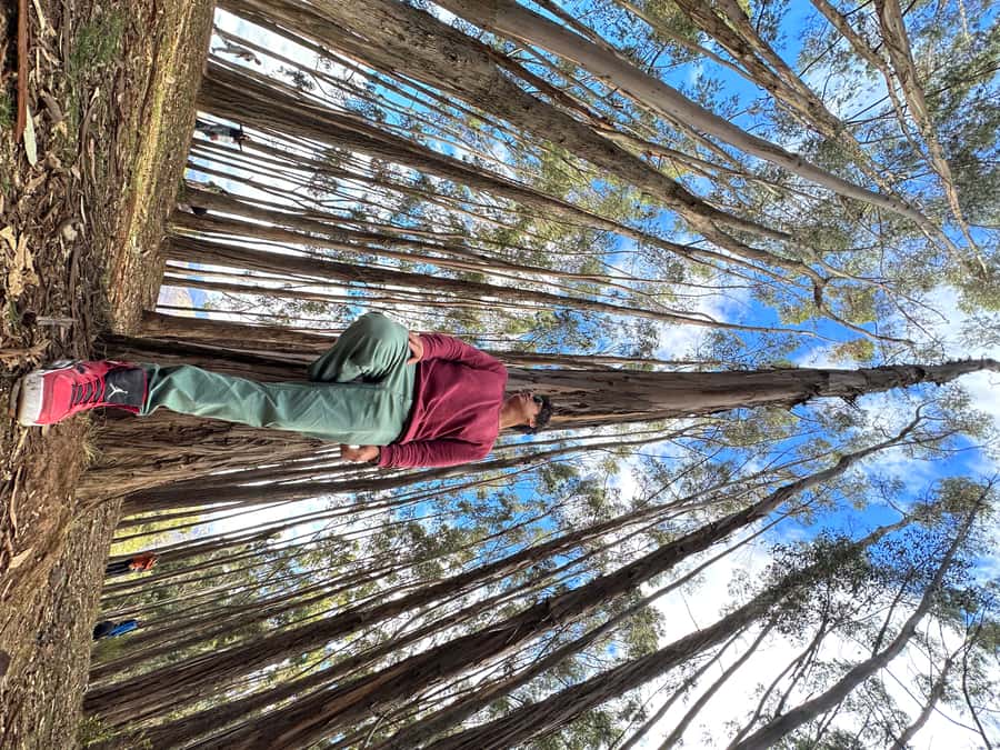 Cusco: Archeological Sites Tour and Forest Photo Experience - Tambomachay and the Inca water system