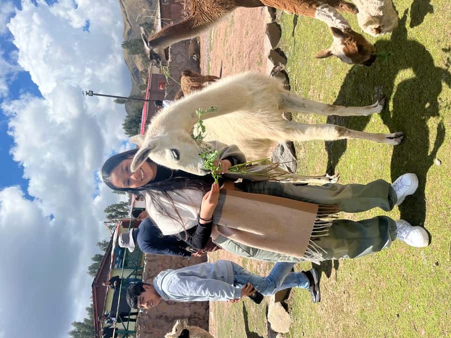 Cusco: Archeological Sites Tour and Forest Photo Experience - What the five-hour schedule means for you