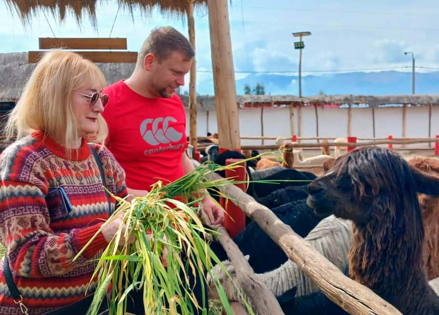Cusco: Archeological Sites Tour and Forest Photo Experience - What to bring for a day above Cusco
