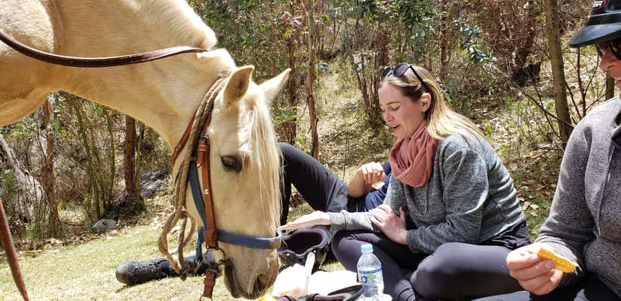 Cusco: Half-Day Horseback Riding at Devil's Balcony - Key points at a glance
