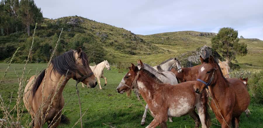 Cusco: Half-Day Horseback Riding at Devil's Balcony - Devil’s Balcony and the Chacan rock formation