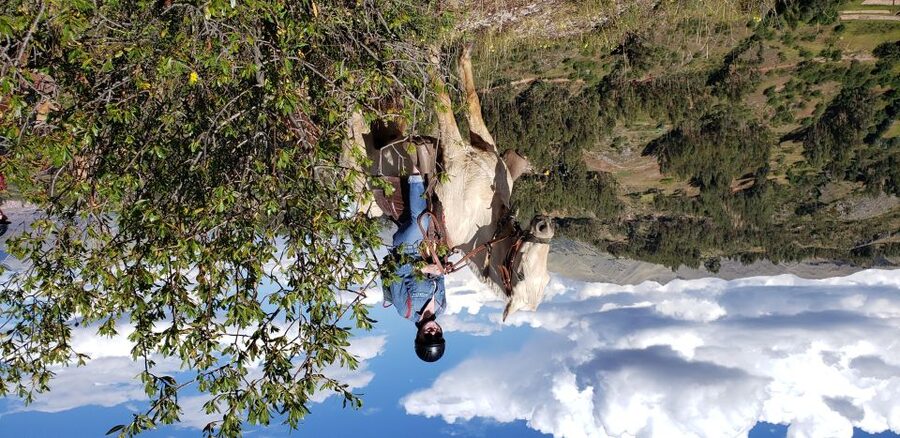 Cusco: Half-Day Horseback Riding at Devil's Balcony - What the horses and riding feel like