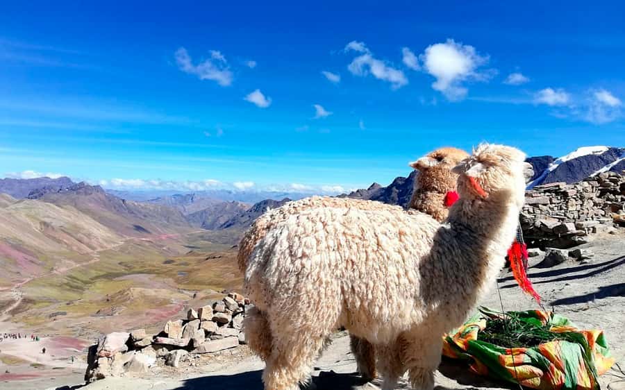 Cusco: Mountain of 7 colors Vinicunca and the Red Valley (optional) - What the $23 Price Really Covers