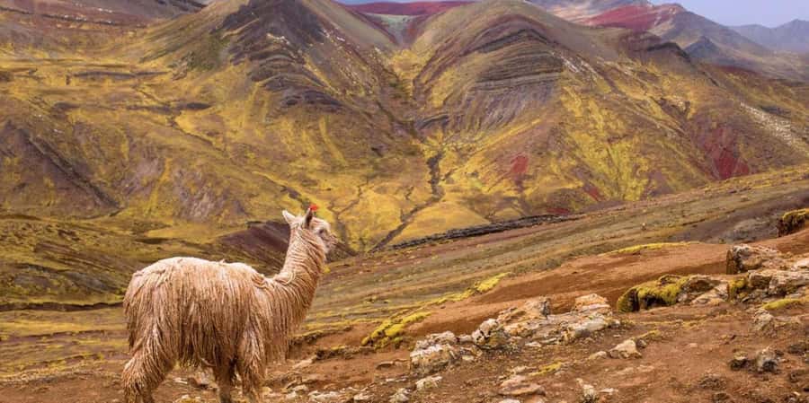 Cusco : Palcoyo - Rainbow Mountain Hidden Sister - Why Palcoyo makes a quieter Rainbow Mountain day