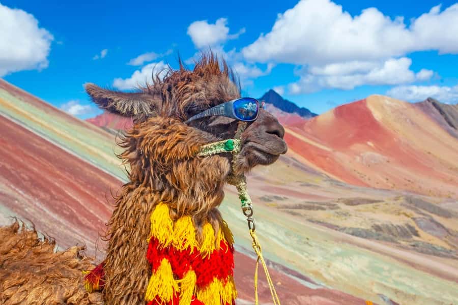 Cusco : Rainbow Mountain and Red Valley Tour - The 4:00 a.m. start from Cusco
