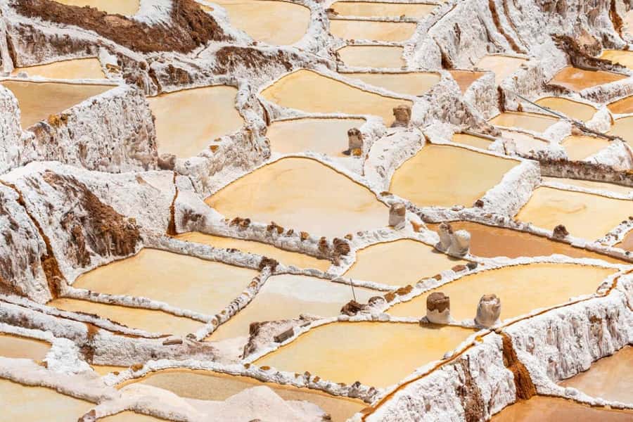 Cusco: Sacred Valley, Pisac, Ollantaytambo, Salt Mines Moray - Urubamba and the included buffet lunch