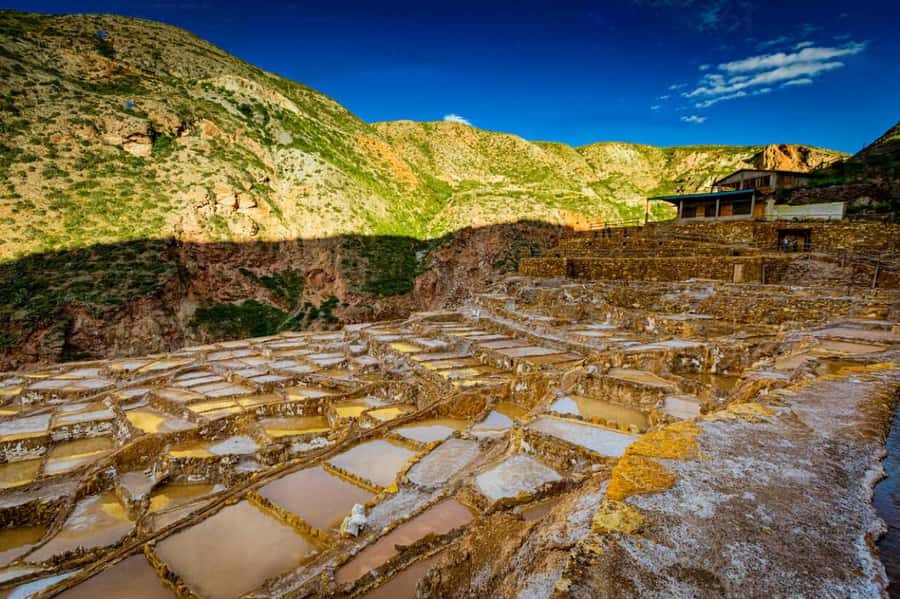 Cusco: Sacred Valley, Pisac, Ollantaytambo, Salt Mines Moray - Guides, group size, and the human side of the day
