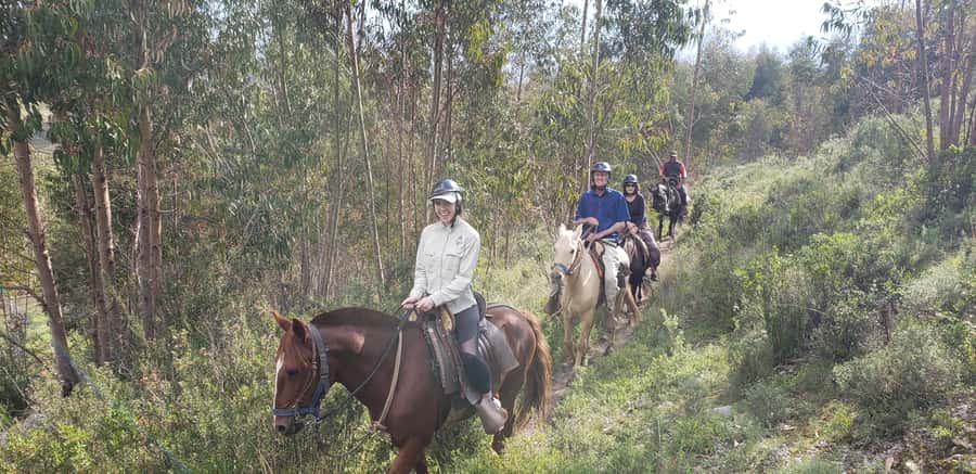 Cusco: Sacsayhuaman Guided Tour and 1-Hour Horseback Ride - Why this Cusco tour works so well