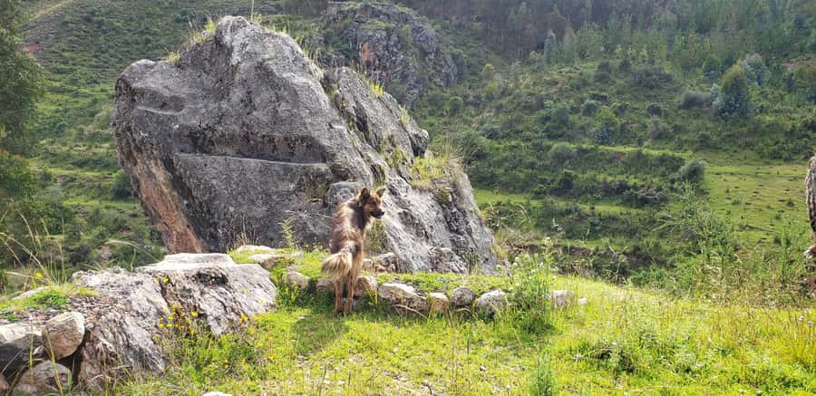 Cusco: Sacsayhuaman Guided Tour and 1-Hour Horseback Ride - A highland ride with a simple beginning