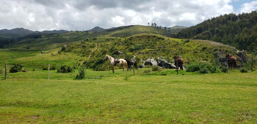 Cusco: Sacsayhuaman Guided Tour and 1-Hour Horseback Ride - Riding through Sacsayhuaman National Park