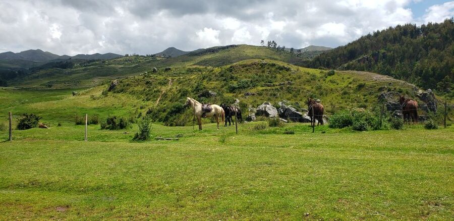 Cusco: Sacsayhuaman Guided Tour and 1-Hour Horseback Ride - What the $90 price really covers