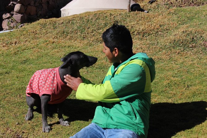 Cusco Santuario de Animales Rescatados en Cusco - A conservation project with a public purpose