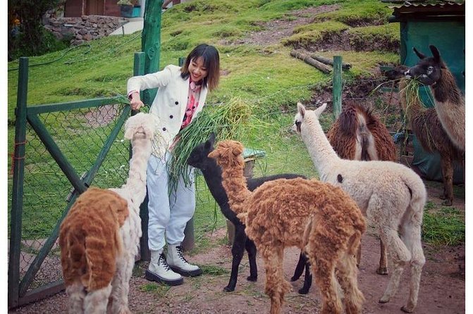 Cusco Santuario de Animales Rescatados en Cusco - Who will enjoy this sanctuary most