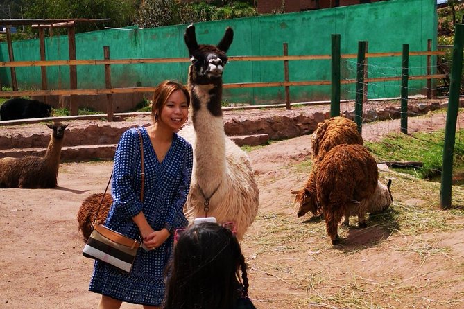 Cusco Santuario de Animales Rescatados en Cusco - A thoughtful stop for families and animal lovers
